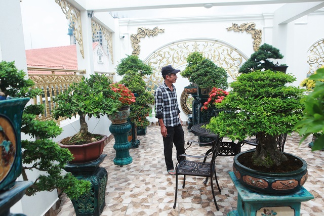 Nghệ nhân Hà Nội bật mí về bonsai kích thước nhỏ nhưng giá “khủng” - 3 Nghệ nhân Hà Nội bật mí về bonsai kích thước nhỏ nhưng giá “khủng” - 3