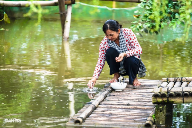 Về Cồn Sơn xem cá lóc… bú bình, ăn cơm phải… đút - 8 Về Cồn Sơn xem cá lóc… bú bình, ăn cơm phải… đút - 8