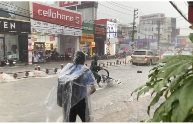 TPHCM: Mưa như trút, nước cuốn trôi xe đạp học sinh giờ tan trường - 3 TPHCM: Mưa như trút, nước cuốn trôi xe đạp học sinh giờ tan trường - 3