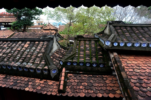 Bảo tàng Dược cổ truyền.jpg Bảo tàng Dược cổ truyền.jpg