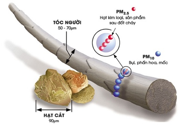 Da cơ thể sẽ tổn thương không phanh khi bạn bỏ qua điều này - 2 Da cơ thể sẽ tổn thương không phanh khi bạn bỏ qua điều này - 2