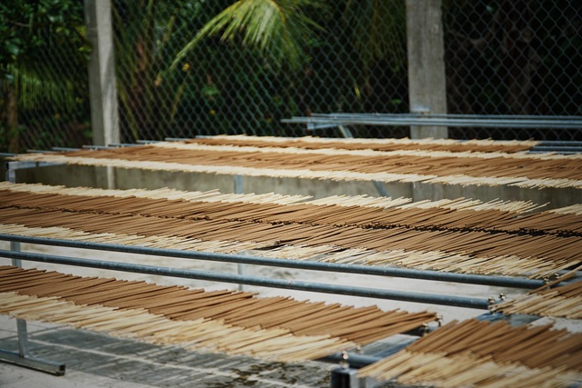 Cô giáo làm nhang sinh học từ cây cỏ dại - 10 Cô giáo làm nhang sinh học từ cây cỏ dại - 10