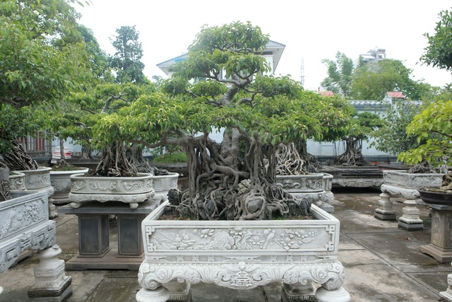 Vườn sanh cổ xứ Huế có giá triệu USD của đại gia Vĩnh Phúc - 12 Vườn sanh cổ xứ Huế có giá triệu USD của đại gia Vĩnh Phúc - 12