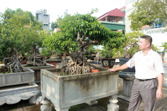 Vườn sanh cổ xứ Huế có giá triệu USD của đại gia Vĩnh Phúc - 2 Vườn sanh cổ xứ Huế có giá triệu USD của đại gia Vĩnh Phúc - 2