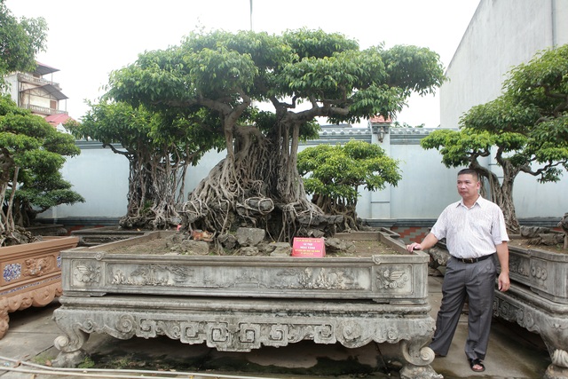 Vườn sanh cổ xứ Huế có giá triệu USD của đại gia Vĩnh Phúc - 4 Vườn sanh cổ xứ Huế có giá triệu USD của đại gia Vĩnh Phúc - 4