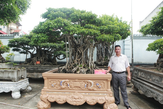 Vườn sanh cổ xứ Huế có giá triệu USD của đại gia Vĩnh Phúc - 7 Vườn sanh cổ xứ Huế có giá triệu USD của đại gia Vĩnh Phúc - 7