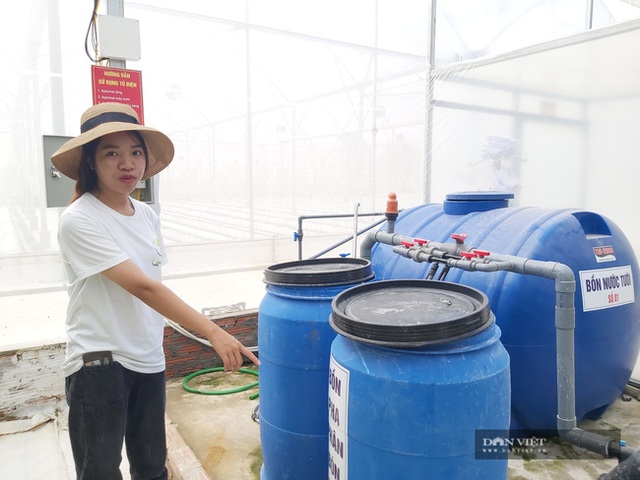 Bỏ nghề báo, chàng trai Hà Nội về quê trồng dưa lưới, mỗi năm thu hơn 2,1 tỷ đồng - 7 Bỏ nghề báo, chàng trai Hà Nội về quê trồng dưa lưới, mỗi năm thu hơn 2,1 tỷ đồng - 7