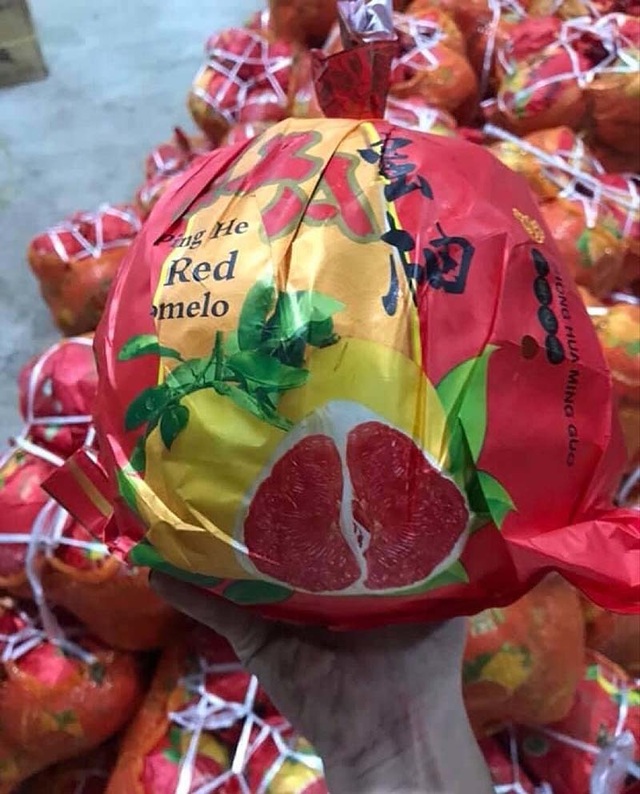 Bưởi Trung Quốc ruột đỏ au: Vỏ vàng không hạt, ngày bán cả tấn - 2 Bưởi Trung Quốc ruột đỏ au: Vỏ vàng không hạt, ngày bán cả tấn - 2