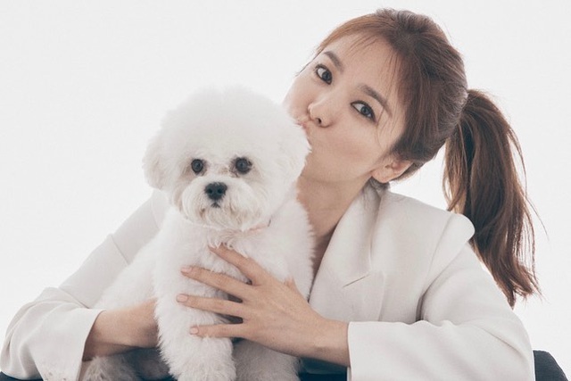 Song Hye Kyo - Mỹ nhân bị quy luật lão hoá “bỏ quên” - 19 Song Hye Kyo - Mỹ nhân bị quy luật lão hoá “bỏ quên” - 19