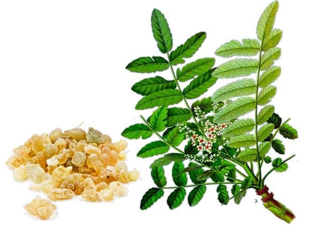 Đẩy lùi thoái hóa khớp với lời khuyên của Trưởng khoa cơ xương khớp bệnh viện Bạch Mai - 2 Đẩy lùi thoái hóa khớp với lời khuyên của Trưởng khoa cơ xương khớp bệnh viện Bạch Mai - 2