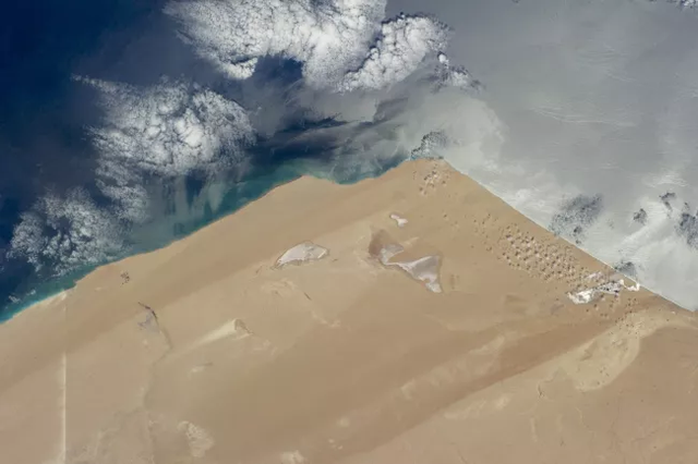 Sa mạc Sahara có thể trở lại là vùng đất màu mỡ không? - 6 Sa mạc Sahara có thể trở lại là vùng đất màu mỡ không? - 6