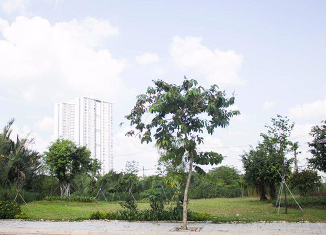 Khám phá biệt thự 300m2, giá triệu đô của NSƯT Kim Tử Long - 3 Khám phá biệt thự 300m2, giá triệu đô của NSƯT Kim Tử Long - 3