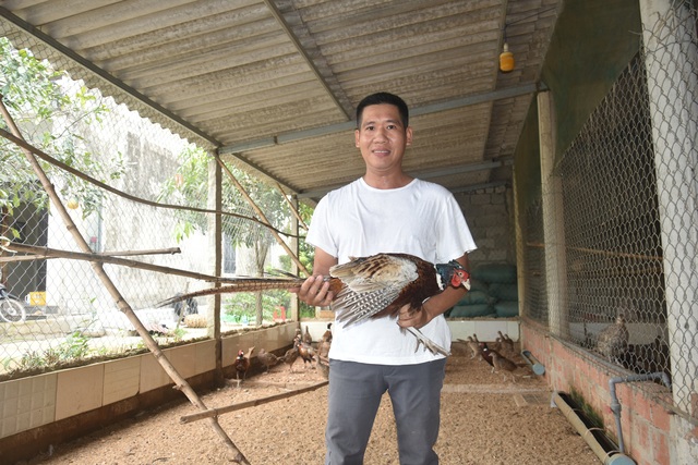 Chàng kỹ sư bỏ phố về quê quyết làm giàu bằng nghề nuôi chim - 4 Chàng kỹ sư bỏ phố về quê quyết làm giàu bằng nghề nuôi chim - 4