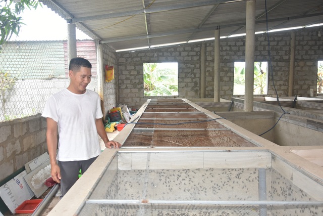 Chàng kỹ sư bỏ phố về quê quyết làm giàu bằng nghề nuôi chim - 1 Chàng kỹ sư bỏ phố về quê quyết làm giàu bằng nghề nuôi chim - 1