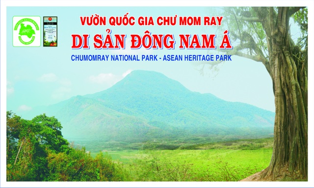 Giữ màu xanh trên đại ngàn Chư Mom Ray - 4 Giữ màu xanh trên đại ngàn Chư Mom Ray - 4