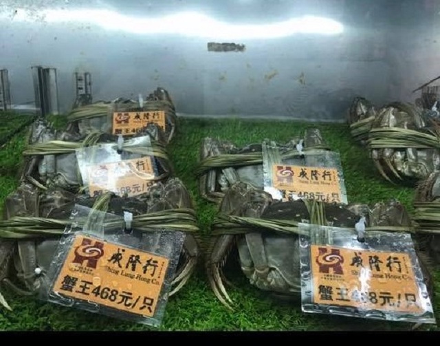 Loại cua “nhà giàu” bán tràn lan chỉ từ 45.000 đồng/con, tiểu thương “tiết lộ” sự thật - 3 Loại cua “nhà giàu” bán tràn lan chỉ từ 45.000 đồng/con, tiểu thương “tiết lộ” sự thật - 3