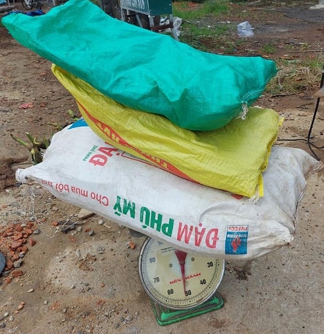 Thứ quả rừng dài cả mét được săn lùng, dân hái bán thu tiền triệu mỗi ngày - 3 Thứ quả rừng dài cả mét được săn lùng, dân hái bán thu tiền triệu mỗi ngày - 3