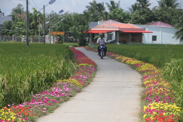 Sóc Trăng sôi nổi các phong trào thi đua yêu nước 5 năm qua - 1 Sóc Trăng sôi nổi các phong trào thi đua yêu nước 5 năm qua - 1
