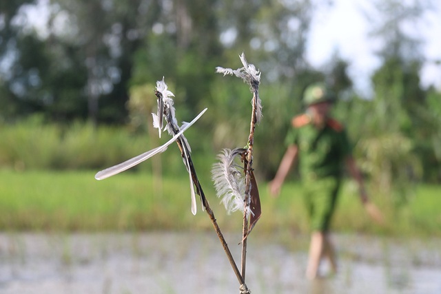 Truy quét, tháo dỡ “thiên la địa võng” tận diệt chim trời - 8 Truy quét, tháo dỡ “thiên la địa võng” tận diệt chim trời - 8