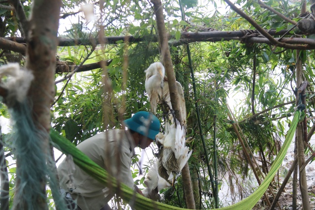 Truy quét, tháo dỡ “thiên la địa võng” tận diệt chim trời - 5 Truy quét, tháo dỡ “thiên la địa võng” tận diệt chim trời - 5