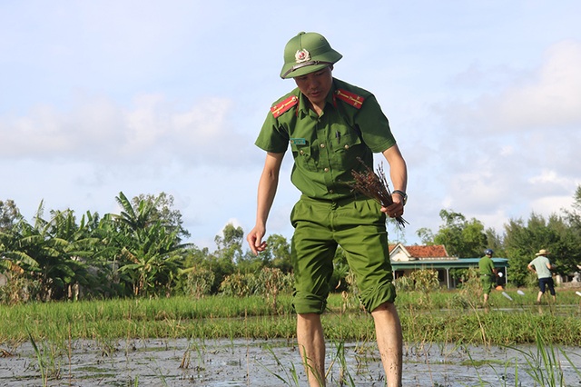 Truy quét, tháo dỡ “thiên la địa võng” tận diệt chim trời - 11 Truy quét, tháo dỡ “thiên la địa võng” tận diệt chim trời - 11