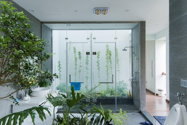Gia đình Thanh Hóa mua 6 nhà hàng xóm, xây nhà vườn rộng 700m2 giữa phố - 10 Gia đình Thanh Hóa mua 6 nhà hàng xóm, xây nhà vườn rộng 700m2 giữa phố - 10
