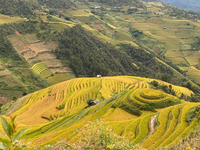Hậu trường hàng trăm người xếp hàng chụp ảnh ruộng bậc thang Mù Cang Chải - 5 Hậu trường hàng trăm người xếp hàng chụp ảnh ruộng bậc thang Mù Cang Chải - 5