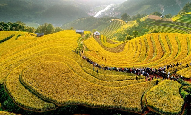 Hậu trường hàng trăm người xếp hàng chụp ảnh ruộng bậc thang Mù Cang Chải - 1 Hậu trường hàng trăm người xếp hàng chụp ảnh ruộng bậc thang Mù Cang Chải - 1