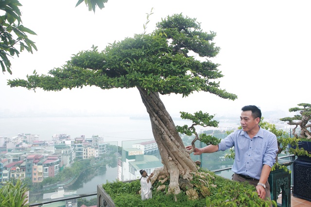 Mãn nhãn với vườn cây bonsai dáng quái giữa “lưng chừng trời” ở Hà Nội - 6 Mãn nhãn với vườn cây bonsai dáng quái giữa “lưng chừng trời” ở Hà Nội - 6