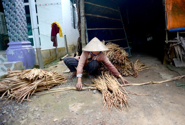 Long An: Kiếm thêm bạc triệu nhờ cắt lục bình - 6 Long An: Kiếm thêm bạc triệu nhờ cắt lục bình - 6