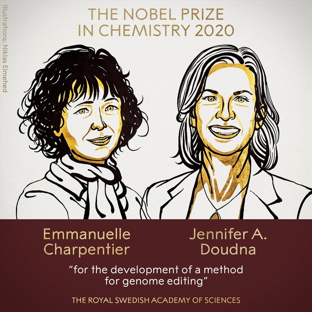 Chìa khóa nào giúp hai nữ Tiến sĩ giành giải Nobel Hoá học năm 2020? - 2 Chìa khóa nào giúp hai nữ Tiến sĩ giành giải Nobel Hoá học năm 2020? - 2