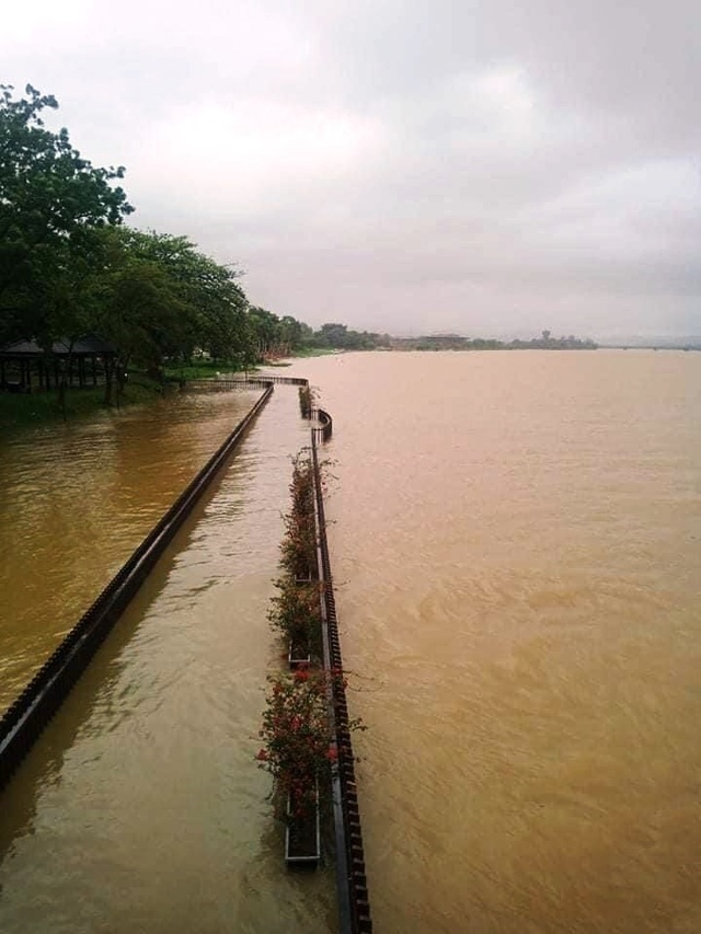 Mưa cực lớn, nước ngập ngang người, cây đổ la liệt - 12 Mưa cực lớn, nước ngập ngang người, cây đổ la liệt - 12