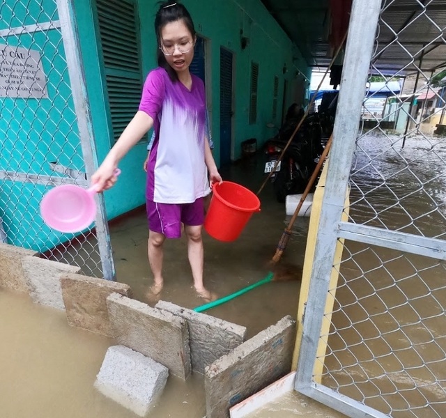 Mưa cực lớn, nước ngập ngang người, cây đổ la liệt - 7