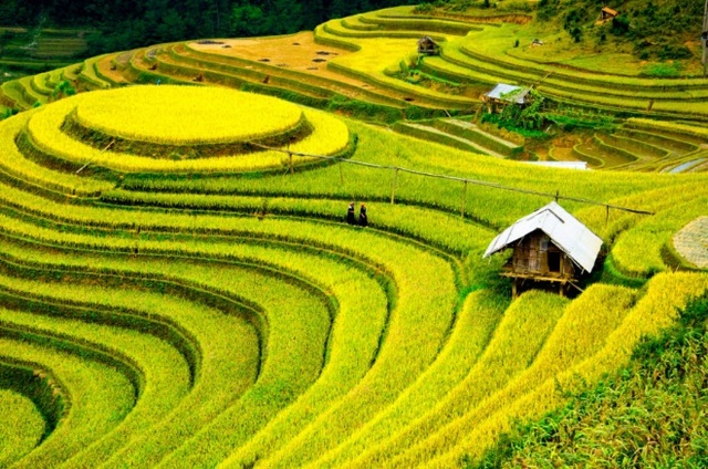 Việt Nam đứng thứ hạng cao trong số các nước du lịch tuyệt nhất năm 2020 - 1 Việt Nam đứng thứ hạng cao trong số các nước du lịch tuyệt nhất năm 2020 - 1
