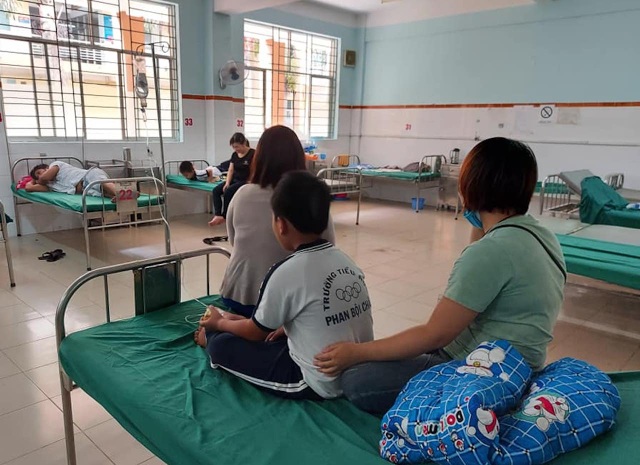 Hàng chục học sinh tiểu học bất ngờ bị đàn ong tấn công - 1 Hàng chục học sinh tiểu học bất ngờ bị đàn ong tấn công - 1