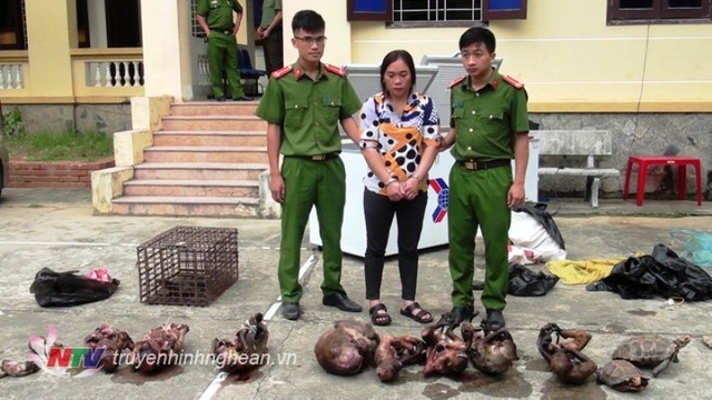 Bắt “nữ quái” tàng trữ nhiều cá thể khỉ quý hiếm - 1 Bắt “nữ quái” tàng trữ nhiều cá thể khỉ quý hiếm - 1