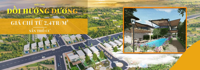 Sunflower Hill - Khu đất nền biệt thự đồi hướng hương Bảo Lộc - 3 Sunflower Hill - Khu đất nền biệt thự đồi hướng hương Bảo Lộc - 3
