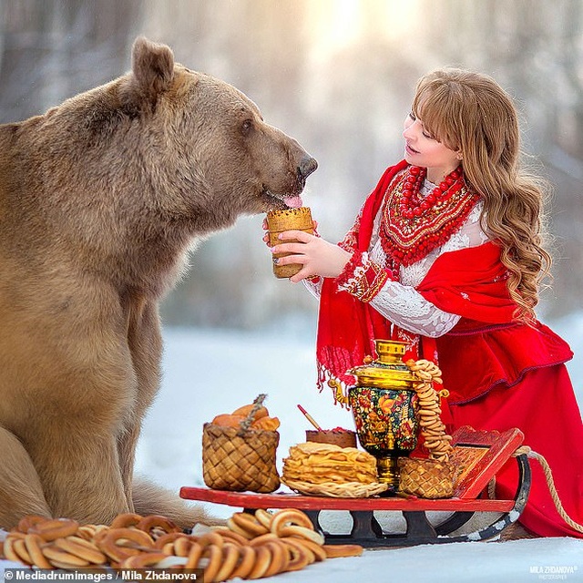 Chú gấu mồ côi bỗng trở thành “người mẫu ăn khách” - 9 Chú gấu mồ côi bỗng trở thành “người mẫu ăn khách” - 9