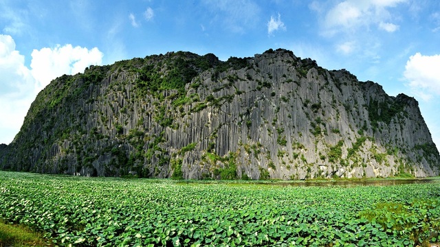 Dam Van Long won the title of the first Green List in Vietnam and Southeast Asia - 5