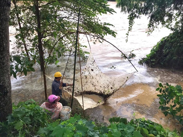 Người dân đổ ra đường giăng lưới bắt cá giữa lũ lớn - 9 Người dân đổ ra đường giăng lưới bắt cá giữa lũ lớn - 9