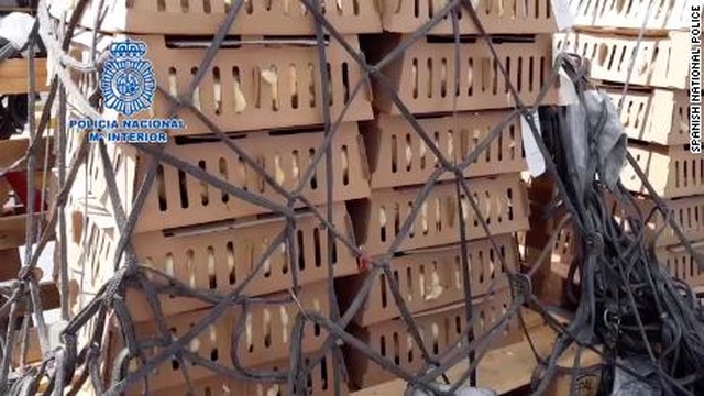 Phát hiện 23.000 gà con chết trong hộp giấy tại sân bay Tây Ban Nha - 2 Phát hiện 23.000 gà con chết trong hộp giấy tại sân bay Tây Ban Nha - 2