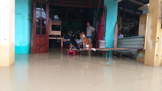 Đà Nẵng: Nhiều nơi vẫn ngập nặng, đã di dời hơn 2.500 người dân - 15 Đà Nẵng: Nhiều nơi vẫn ngập nặng, đã di dời hơn 2.500 người dân - 15