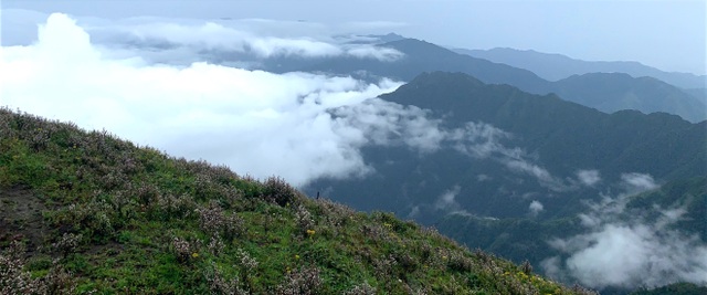 Săn mây, ngắm hoa chi pâu nở tại “thiên đường nơi hạ giới” Tà Chì Nhù - 1