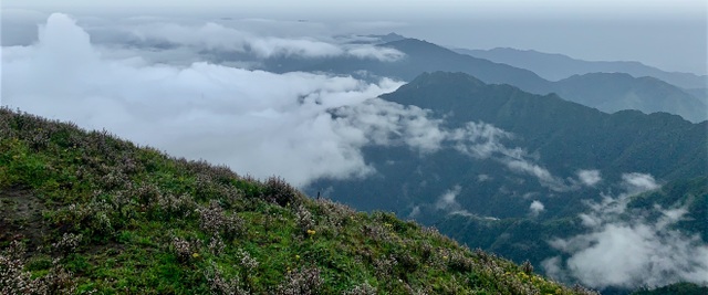 Săn mây, ngắm hoa chi pâu nở tại “thiên đường nơi hạ giới” Tà Chì Nhù - 7