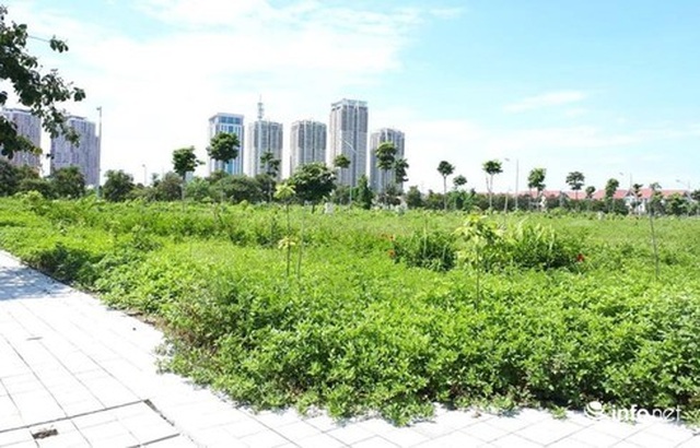 Nghe bạn nhậu, giấu vợ rút tiền, bán vàng để mua... đất vịt giời - 1 Nghe bạn nhậu, giấu vợ rút tiền, bán vàng để mua... đất vịt giời - 1