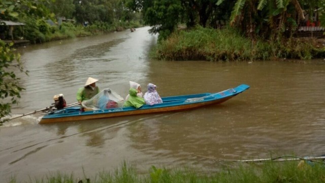 Cà Mau: Một huyện cho học sinh nghỉ học 2 ngày do ảnh hưởng bão - 1 Cà Mau: Một huyện cho học sinh nghỉ học 2 ngày do ảnh hưởng bão - 1