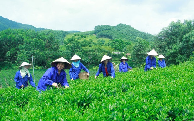 Bí thư Tỉnh uỷ Thái Nguyên: Thời gian ở Quốc hội cho tôi nhiều kinh nghiệm - 2 Bí thư Tỉnh uỷ Thái Nguyên: Thời gian ở Quốc hội cho tôi nhiều kinh nghiệm - 2