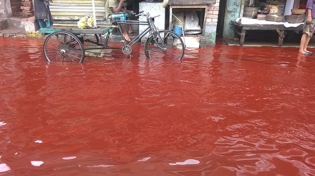 Tại sao một số vùng trên trái đất lại xuất hiện hiện tượng mưa máu? - 2 Tại sao một số vùng trên trái đất lại xuất hiện hiện tượng mưa máu? - 2
