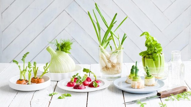 Hô biến đồ thừa trong căn bếp thành vật trang trí không gian sống - 1 Hô biến đồ thừa trong căn bếp thành vật trang trí không gian sống - 1