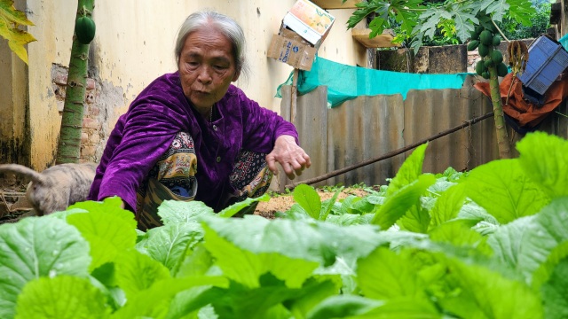 Hà Nội: Mảnh đời cuối cùng còn sót lại ở trại phong Đá Bạc - 3 Hà Nội: Mảnh đời cuối cùng còn sót lại ở trại phong Đá Bạc - 3